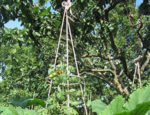 articoli per giardinaggio